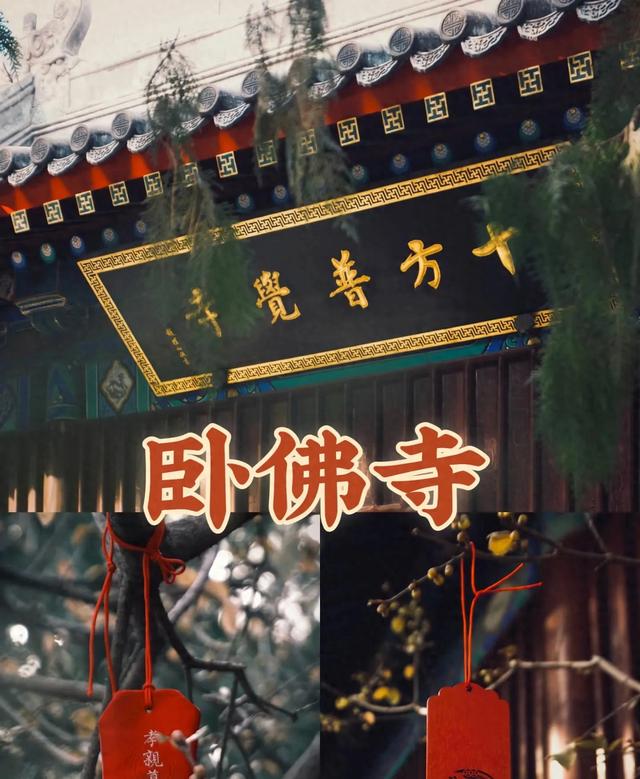 没想到北京卧佛寺 千年铜佛旁求offer 皇家寺庙成新晋求职打卡