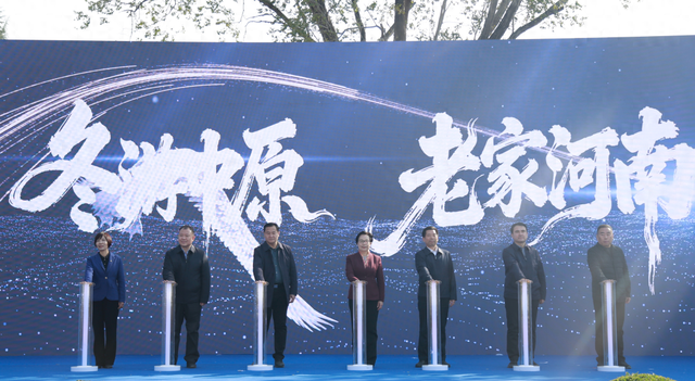 冬游中原好风光！来和天鹅一起过冬吧