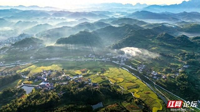青山碧水伴稻浪，这里是诗意的湘西小镇