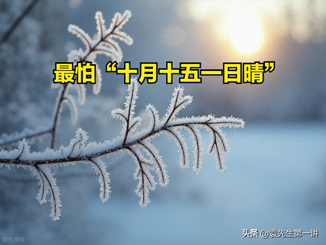 今日十月十五	，老话说最怕“十月十五一日晴	”，天晴有啥预兆？
