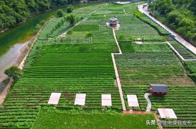 阳坝镇：在这片秘境里 邂逅文旅康养的诗意