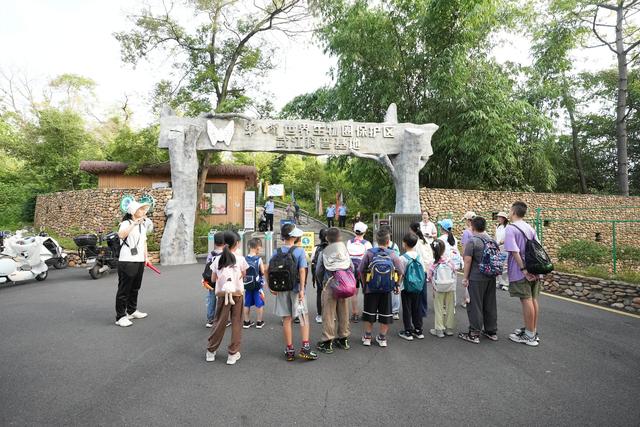 体验自然“活课堂”，韶关武江这场研学科普之旅让暑假“野”有趣！
