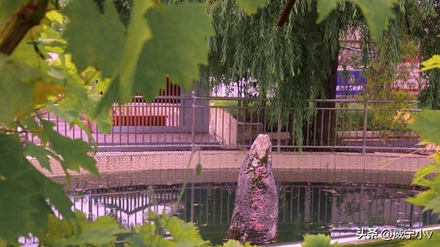 威宁葡萄井的历史由来与兴衰