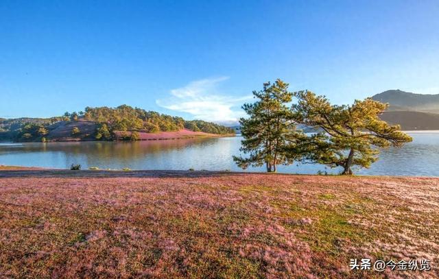 越南深山藏着个“宝藏县城”！美食好吃一百倍，去过南法的都馋哭
