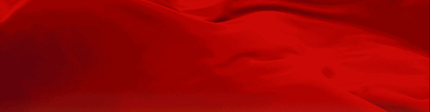 律师网站建设路（关于兵团规范法律咨询服务机构专项行动投诉举报渠道的公告）