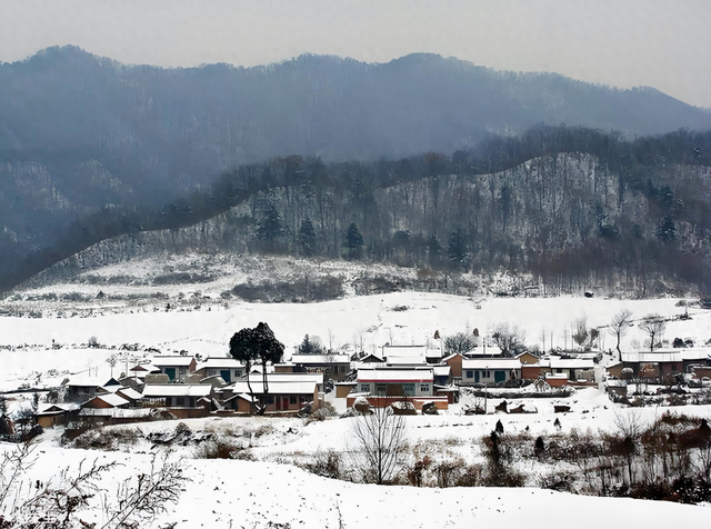 高山流水 : 陇 山 的 冬