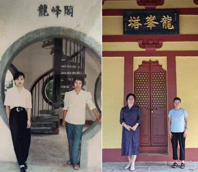 龙峰塔下，聆听龙华三十余载步履与回响