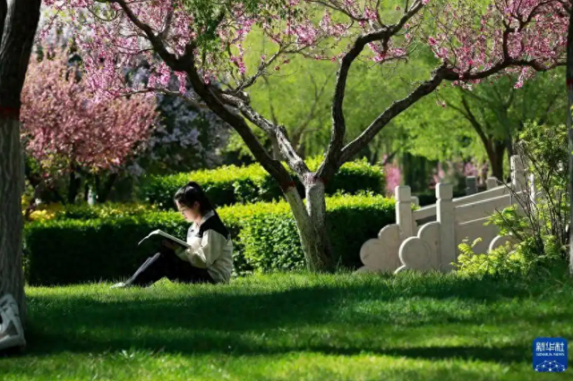 优化课程理念（减去课程水分）