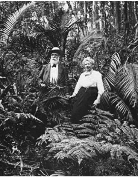 包茂红｜巴西的环境保护