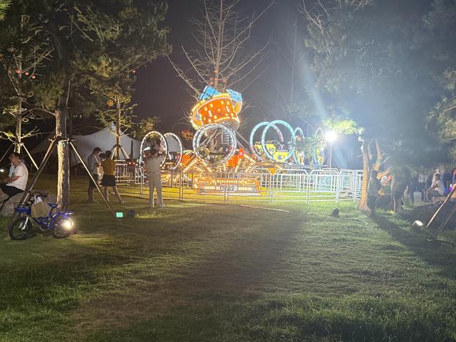 当遗址公园的草地长出游乐场，痛心！