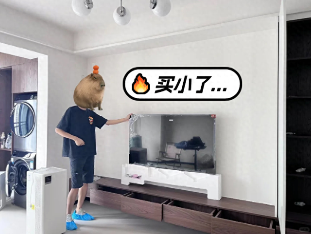 不管是三星还是索尼，体验85吋大电视后，55吋只有退出江湖的份