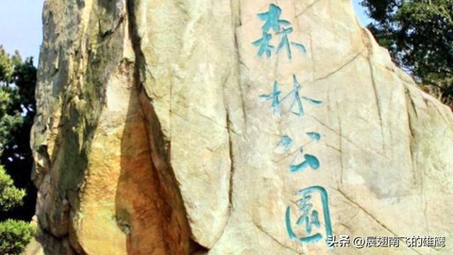 《我与老友兴元漫步森林公园赏枫叶》札记