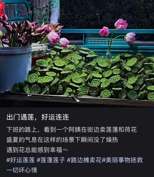 这种应季食物，高碳水却低 GI，三高也能放心吃！错过后悔一年