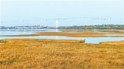 来长治体验太行冬日美景