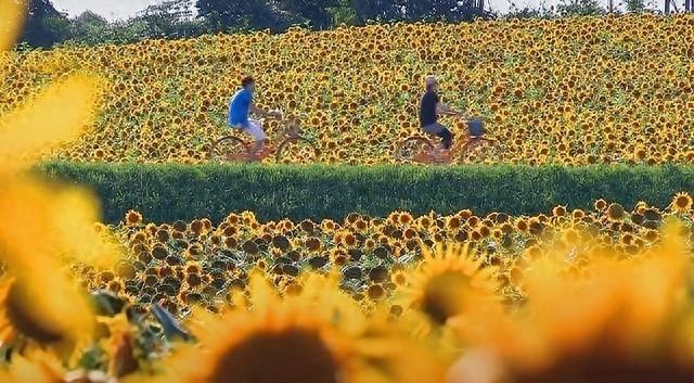 退休后才明白！60-75岁才是人生巅峰旅行期，这3件事现在做正当时