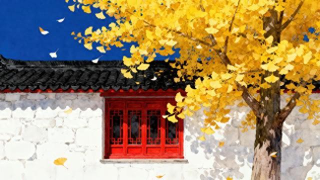 随笔|寻雨听风的美妙游思