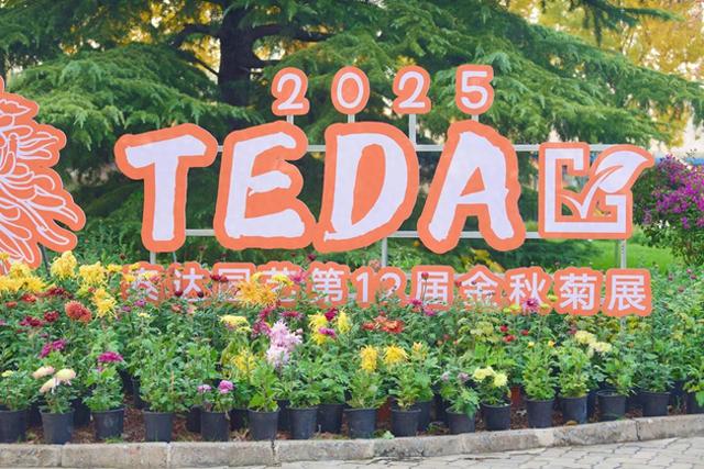 泰达园艺第十二届“菊绽泰达·品韵金秋”金秋菊展即将如约启幕