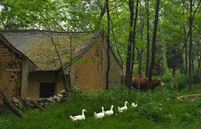 河南这个县“太委屈”：曾是驻马店母体，如今却只是驻马店下辖县