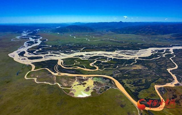 陇拍客丨玛曲：冬日湿地白鹭翩跹生态美