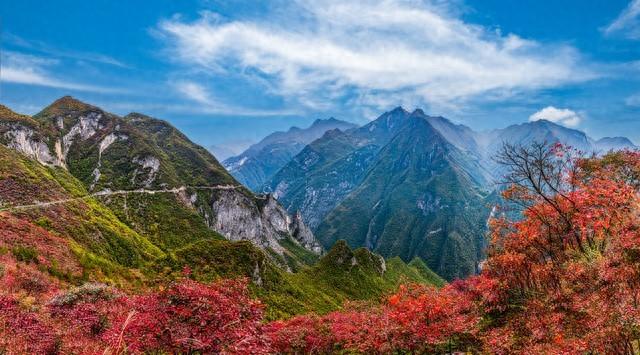 拿好不谢！重庆红叶季最全保姆级攻略，照着拍就对了！