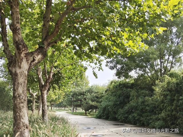 儿子外地入职，妈嘱咐2句：别死扛面子，懂体面职场路更顺