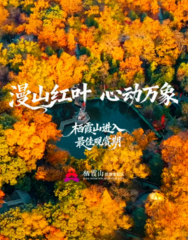 美到刷屏！栖霞山红叶进入“颜值巅峰期”