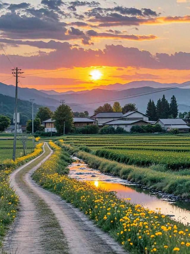 我的家乡太美了