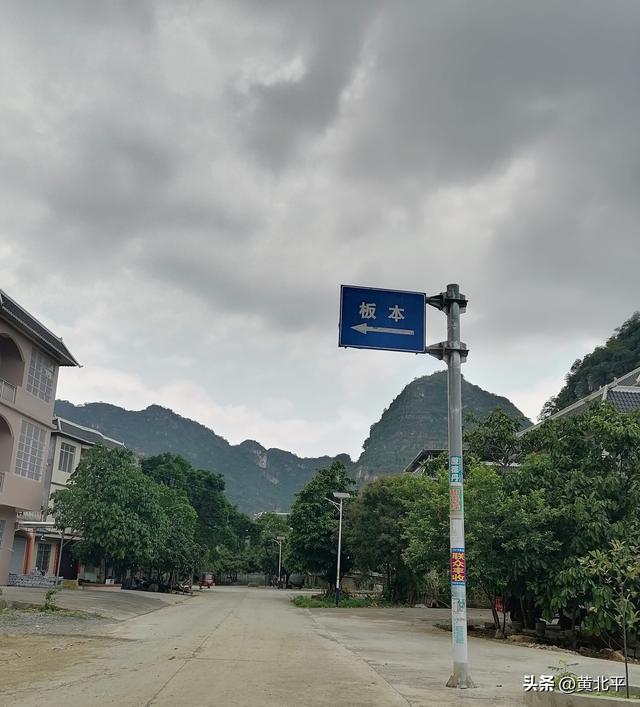 广西崇左市大新县边境线上的小圩，千年枯树能否成为热门打卡地