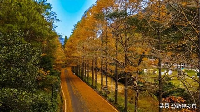 药香传满城，铜矿映千年
