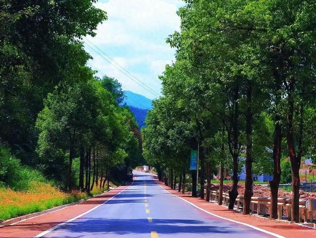 桑植：刘洪公路激发革命老区新活力