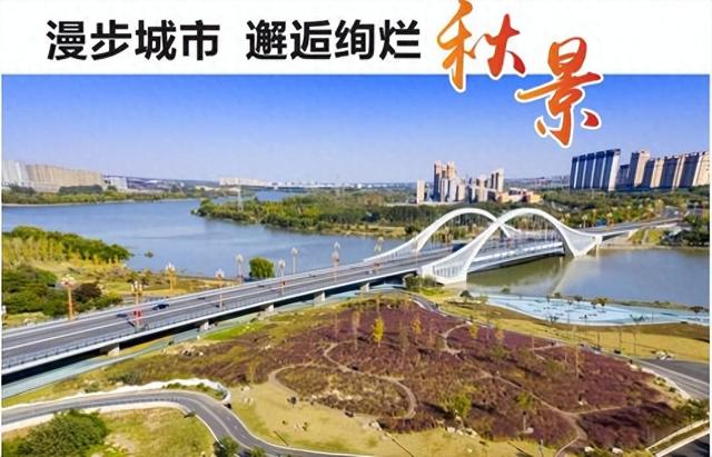 大美寿光｜漫步城市 邂逅绚烂秋景