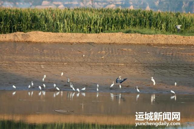 稷山县一体推进治山治水治气治城