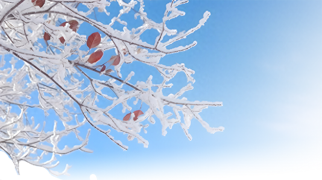 今日立冬|总有一个冬天 要来趟净月潭