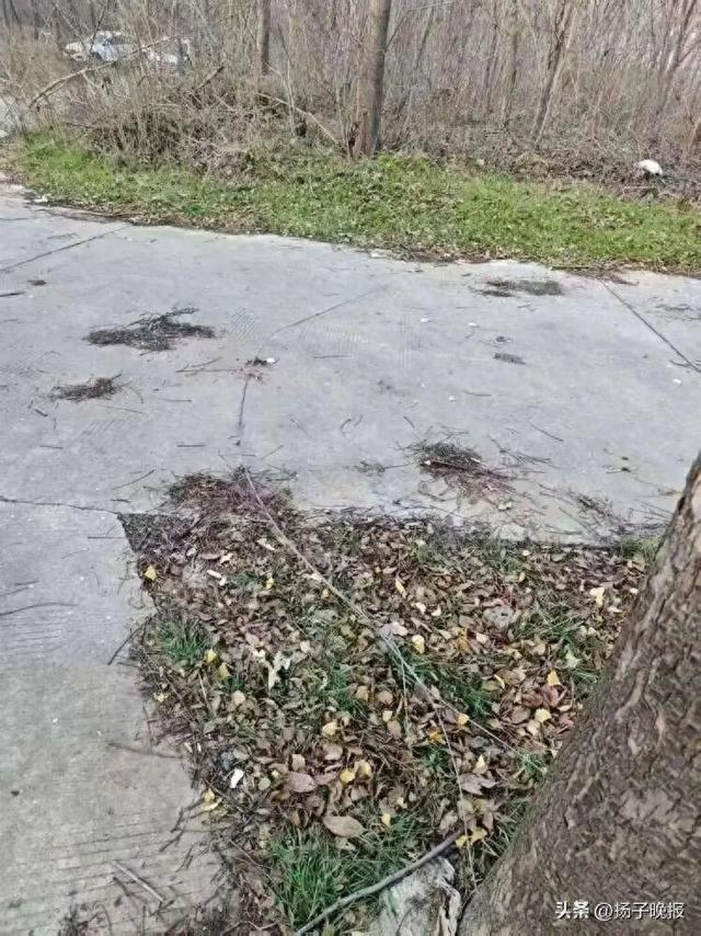 59岁男子公园骑三轮车，遭铁丝割破脖子死亡，园方回应：事发地被私人承包，已排除其他安全隐患