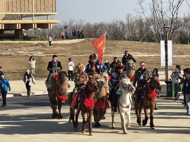故城驼铃远 新麦载情长