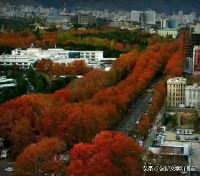 德黑兰秋景Valisar大街