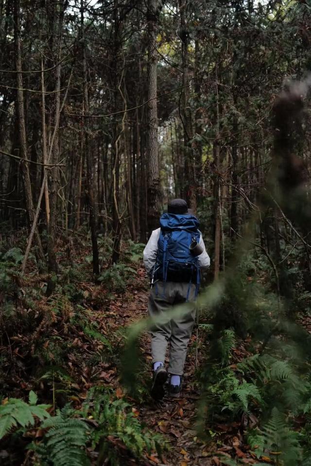 街头大量出现！武进人都去......