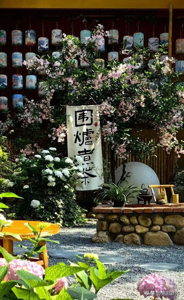 信阳冬季的N种打开方式，总有一种让你心动