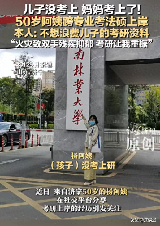 “暴力起号”无底线！假摆拍、假人设、假正能量，乱象何时能止？