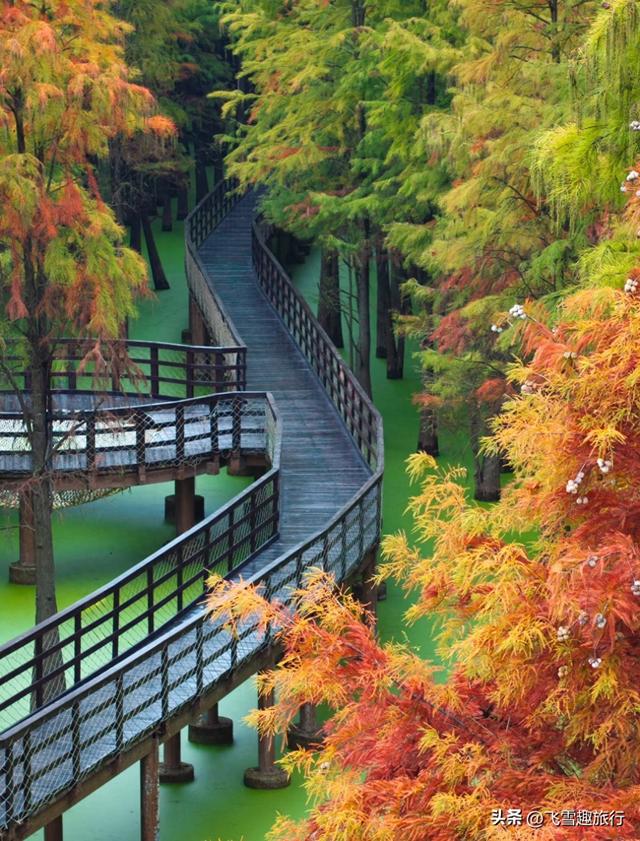 从杭州出发，一小时左右车程，五个风格各异的绝佳赏秋地