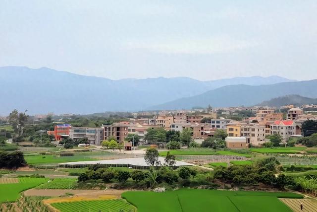 [福建 厦门市翔安区新圩镇]