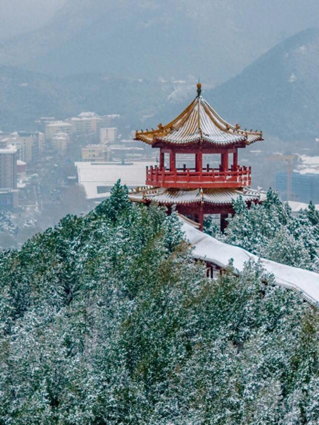 当课文回归现实，老舍笔下《济南的冬天》到底是什么样子的?（一）