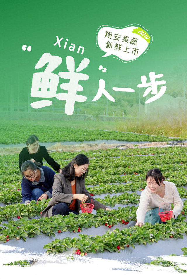 平时不出门，但如果是翔安的果蔬熟了，那我得跑着去！