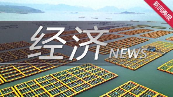 科技新品的“幕后竞技场”，启信宝数据揭秘东莞智能终端产业密码