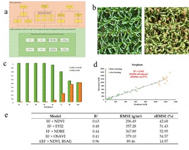 茅台科研团队多项科研取得重要成果，8篇SCI影响因子创新高