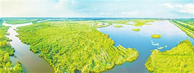 山海有约 湾城共赢 青岛发布14个优质文旅项目投资场景 诚邀各类投资主体参与