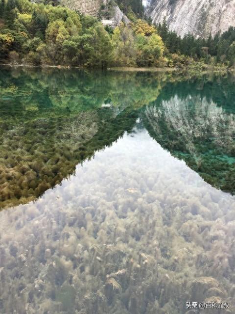 九寨沟的平均海拔高度是多少米？
