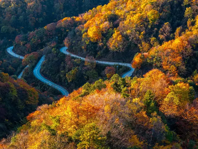 秦岭深处有人家（五）——蜿蜒太子岭
