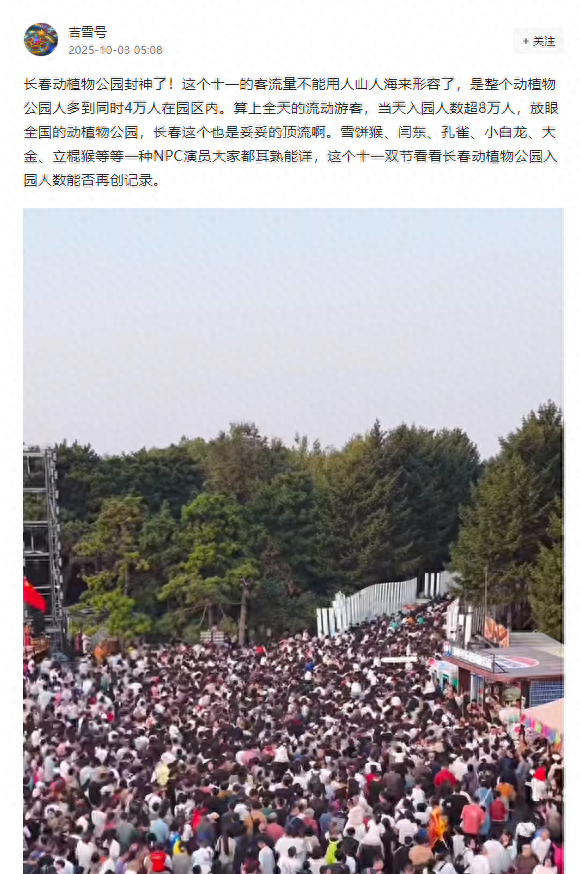 吉林“火”力全开！多元体验解锁假日新乐趣！