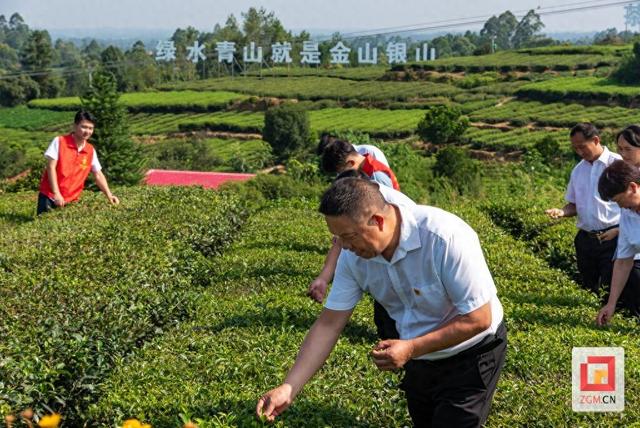 荣县来牟镇：以"茶文化+"破题 全力推进文旅深度融合 助力巴蜀特色旅游优选地建设